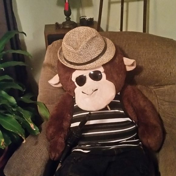 Meet your Posher, Dennis - Picture 1 of 1